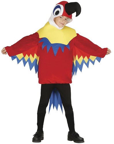 Fiestas guirca costume - guirca, di